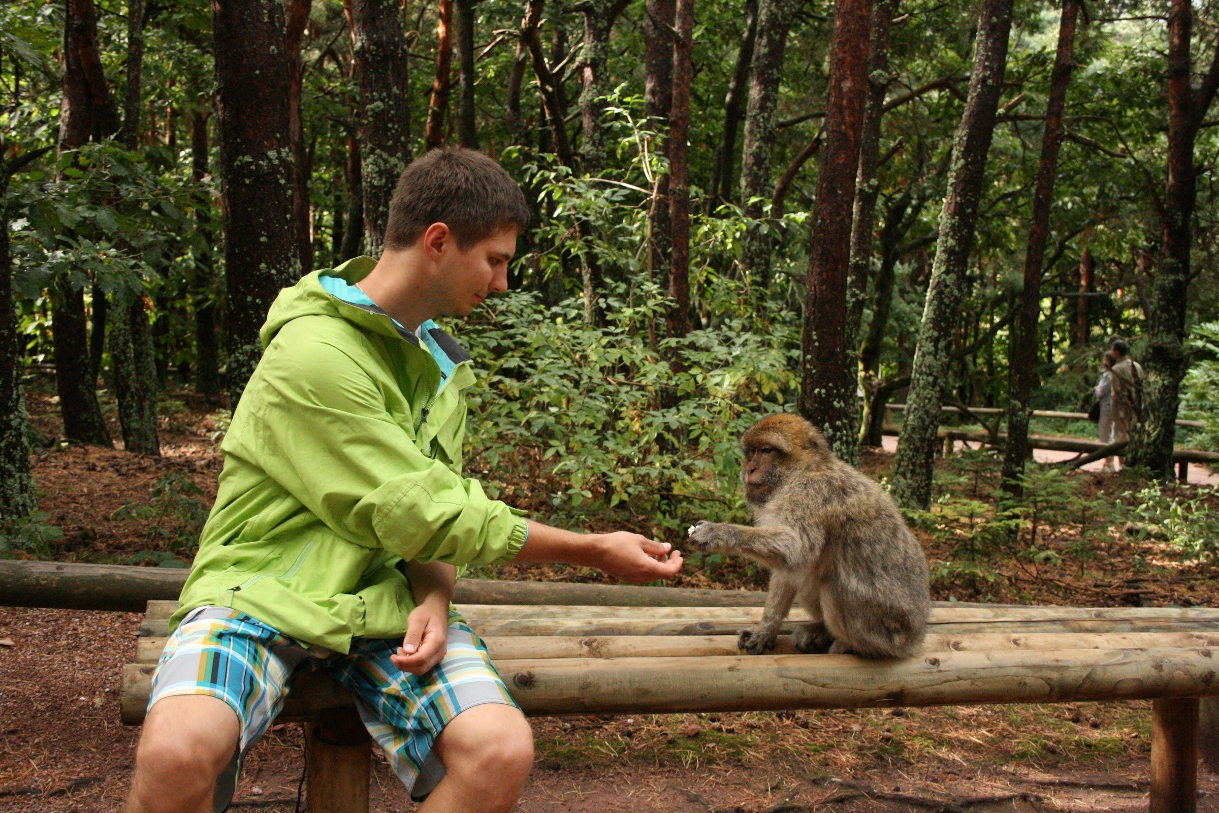 La Montagne des Singes